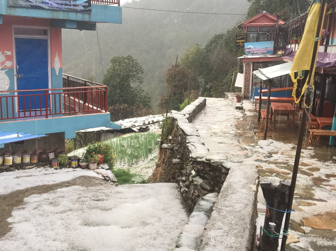 Shangri-la Guest House & Restaurant主图