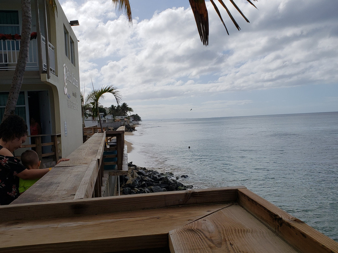 Hotel Villa Cofresi主图