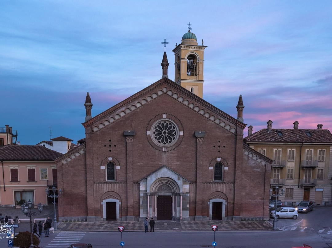 Insigne Collegiata Church景点图片