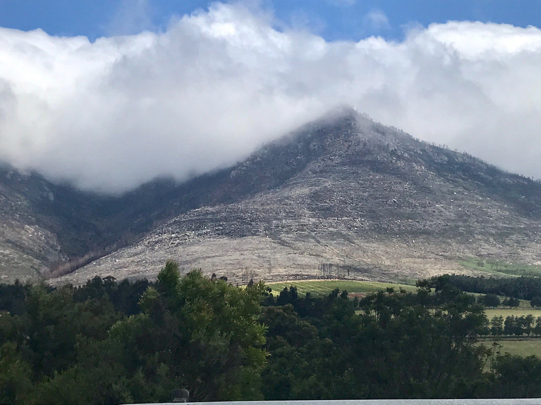 Outeniqua Pass-乔治必去景点