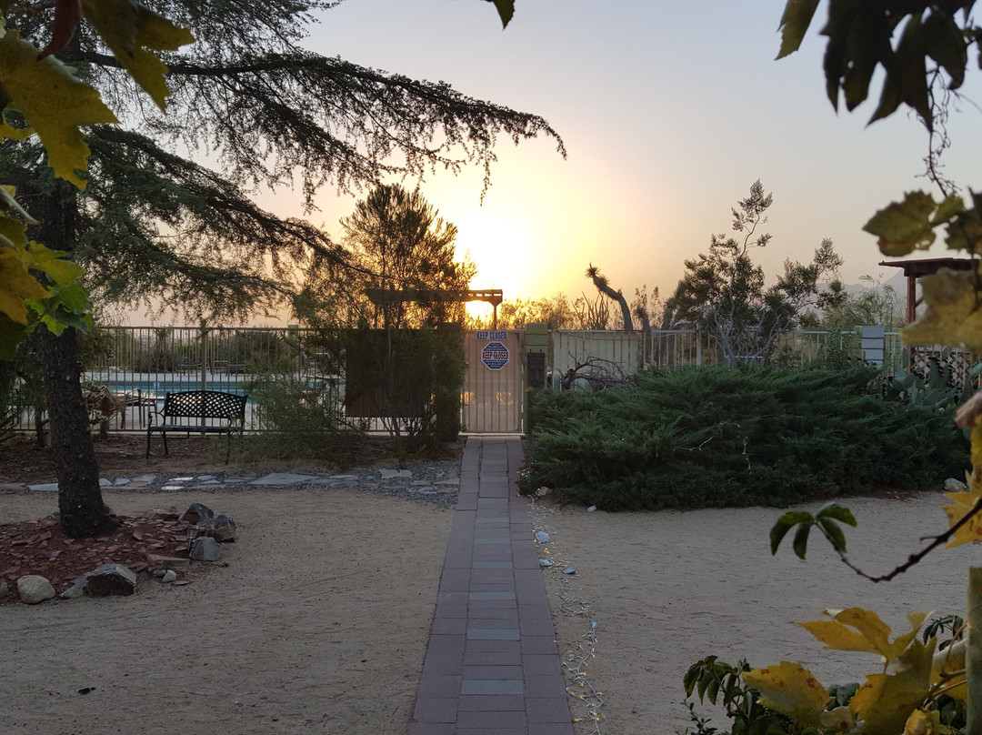 Joshua Tree Inn主图