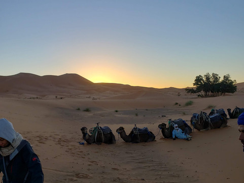 Circuit desert Maroc