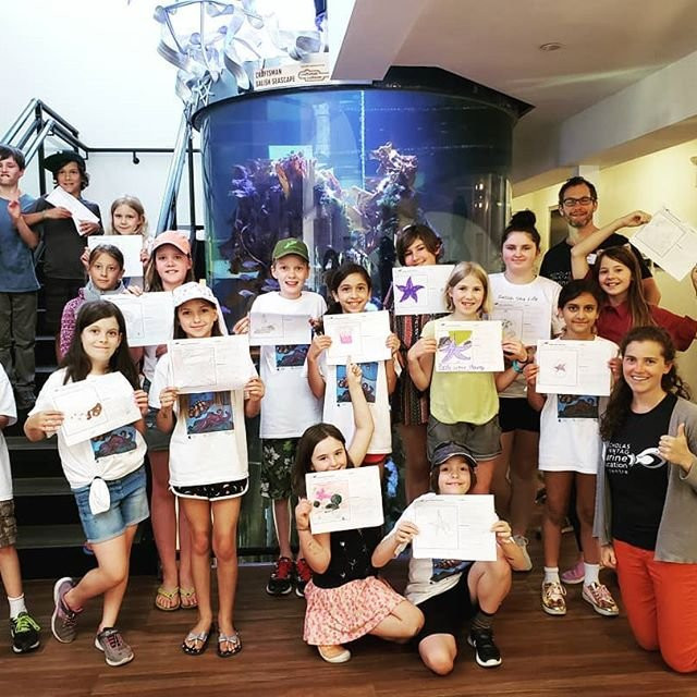 Tidepools Aquarium-吉布森斯必去景点