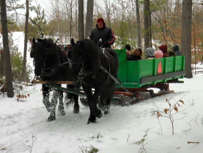 Silver Ranch Stables-Jaffrey必去景点