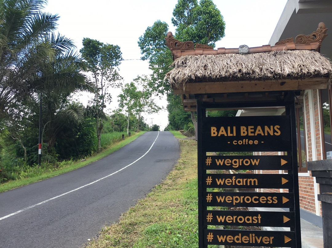 Bali Beans Roastery景点图片