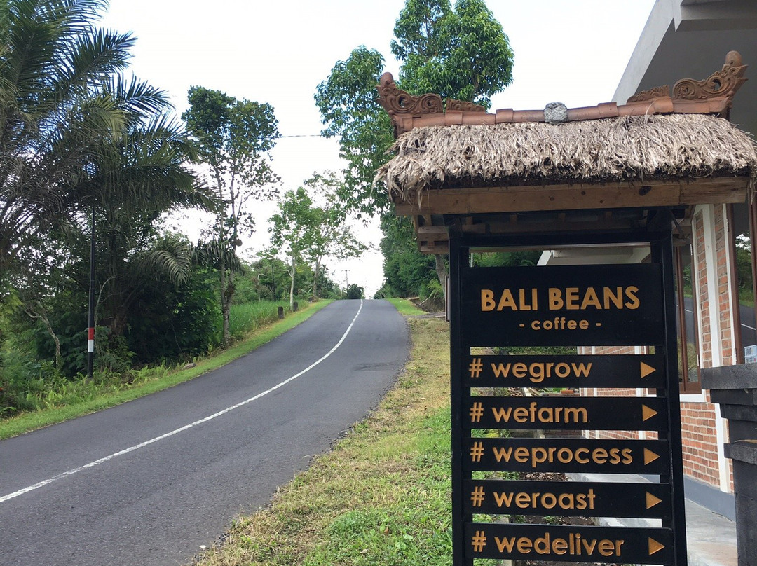 Bali Beans Roastery-长谷必去景点