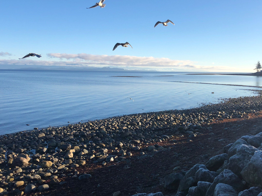 Lighthouse Motel主图