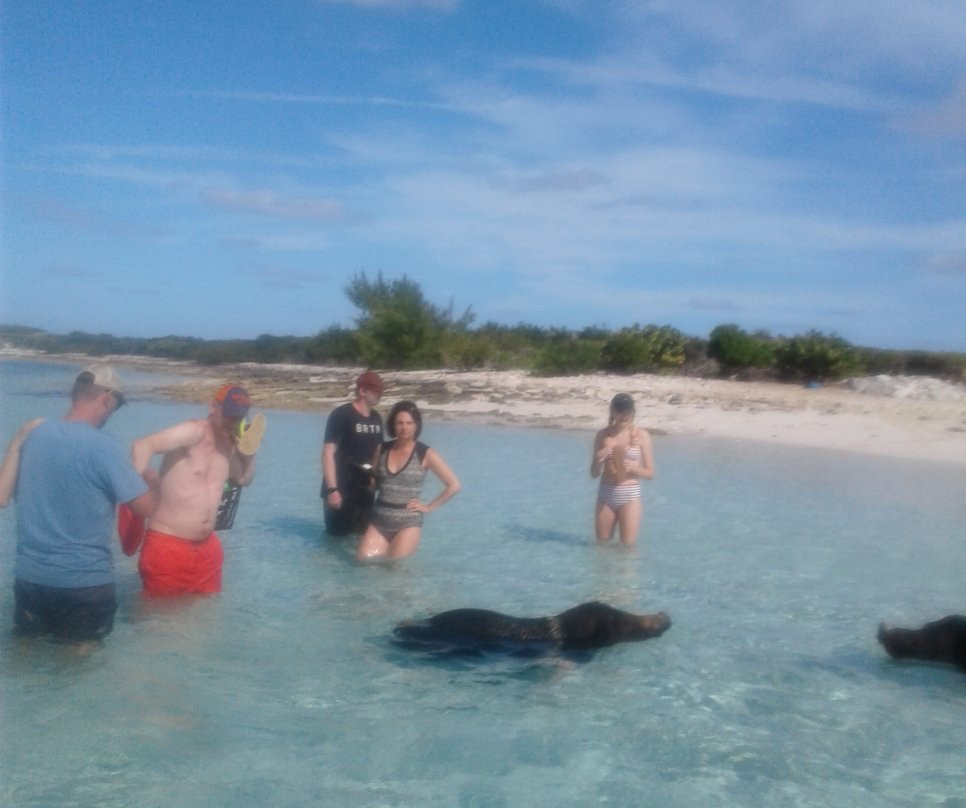 Elvis Water Taxi-George Town必去景点