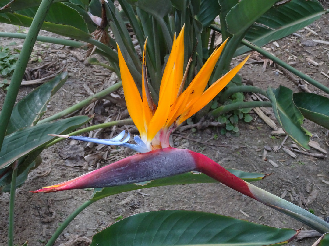 卡马里奥ResidenceInn酒店主图