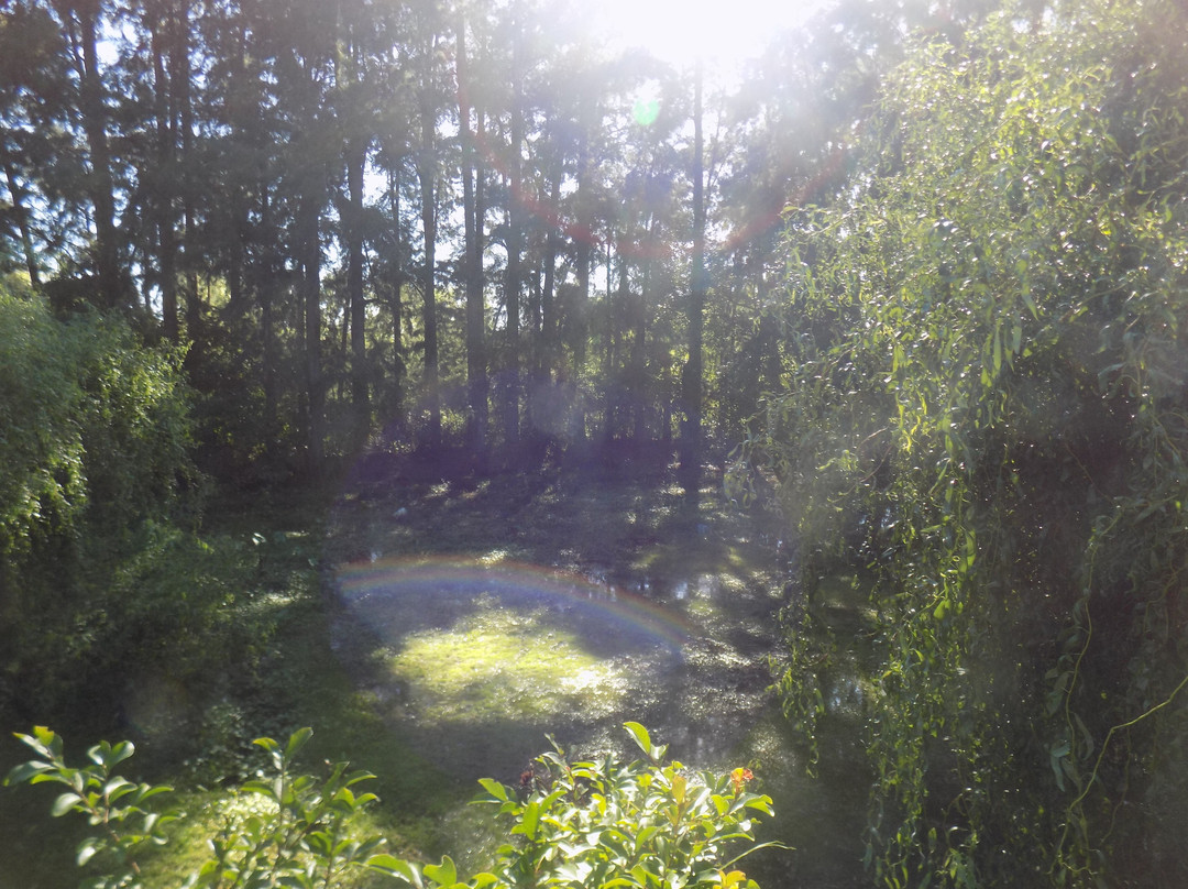 El Portal de las Musas主图