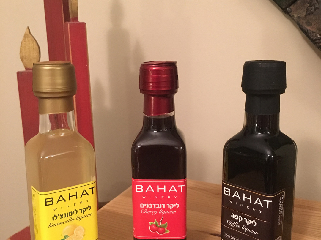 Bahat Winery-Ein Zivan必去景点