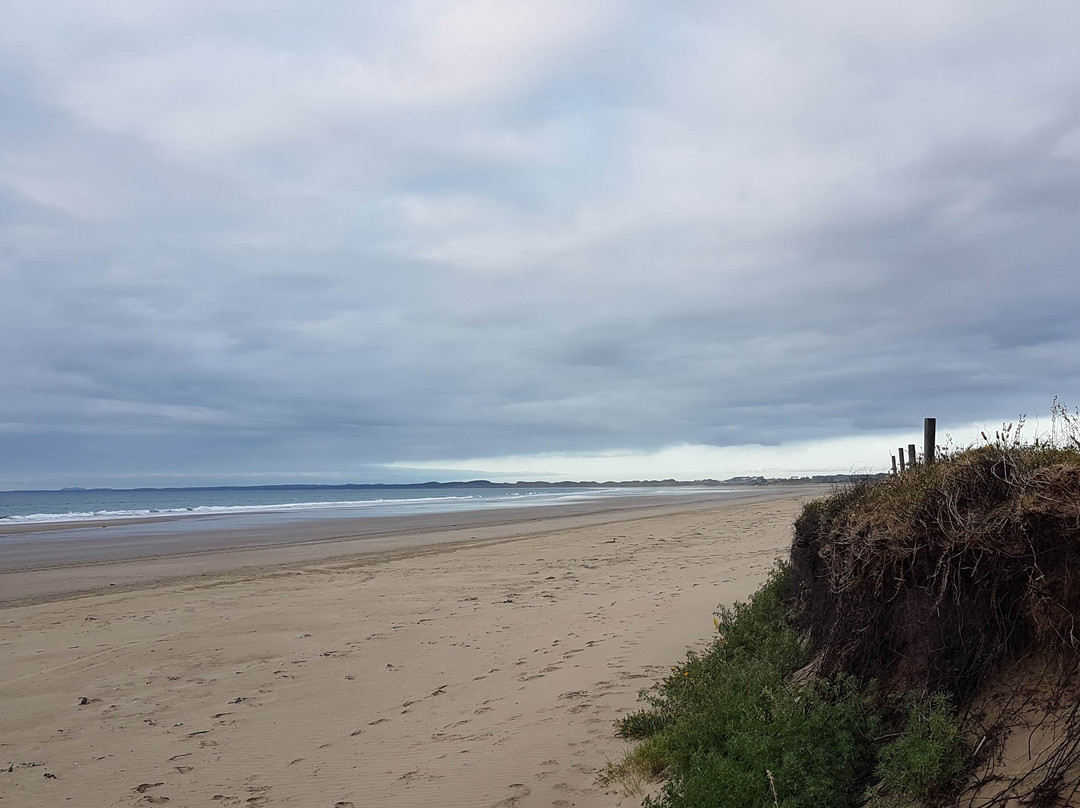 Ahipara Horse Treks-Ahipara必去景点
