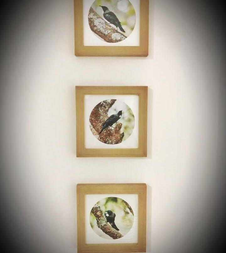 Craft Keepers景点图片