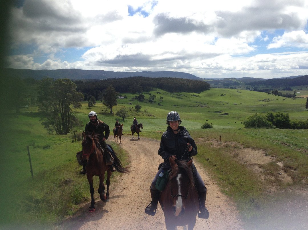 Australian Horse Adventures景点图片