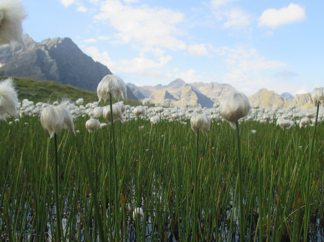 Trekking Austria-萨尔茨堡必去景点