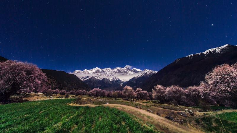 Tibet Experience的一日游-拉萨市必去景点