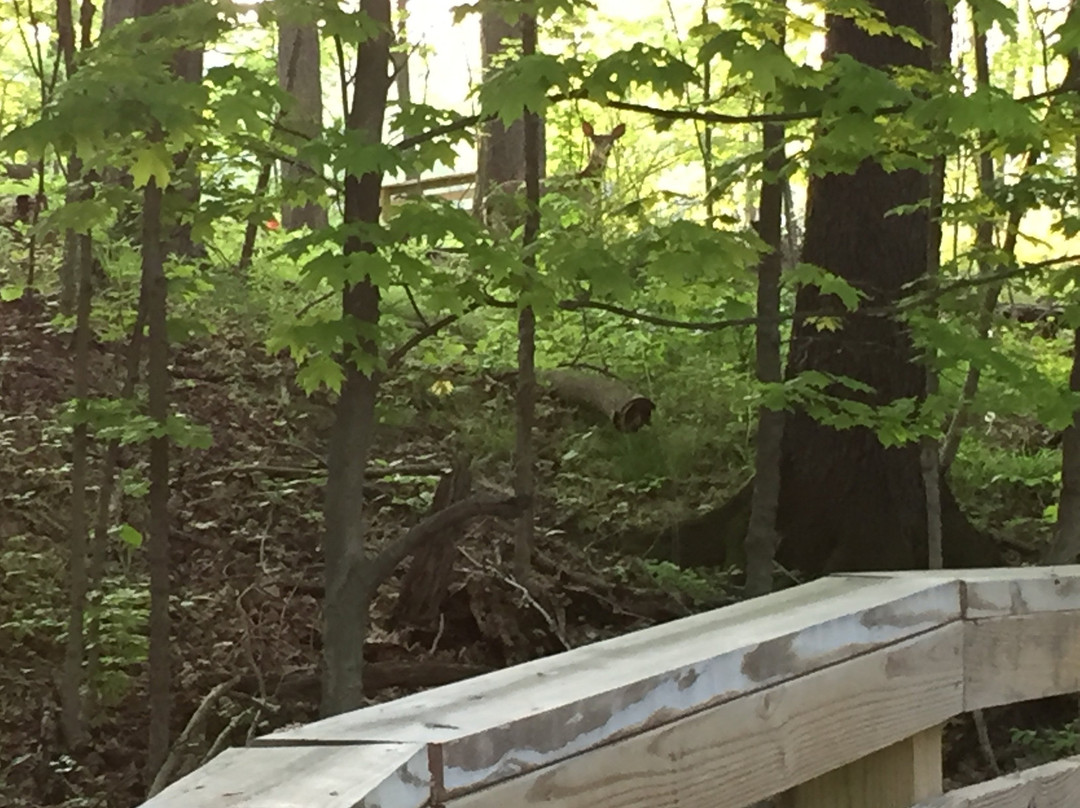 Punderson Manor Lodge And Conference Center主图