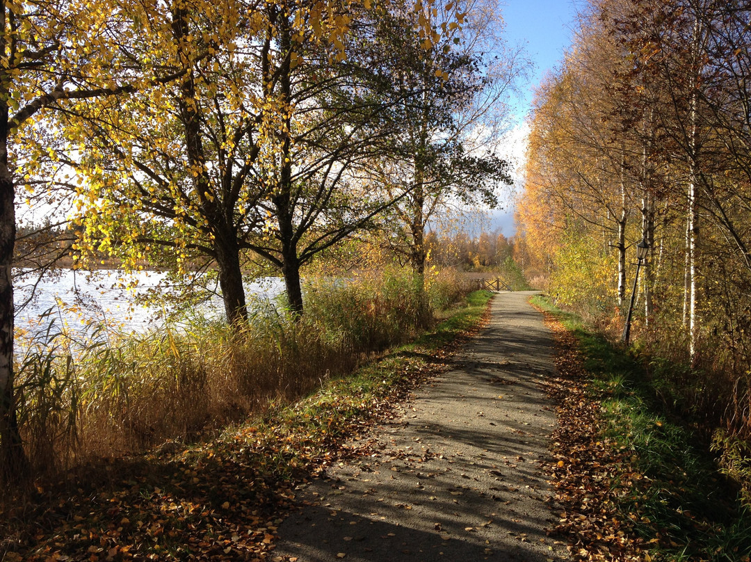 Langasjo旅游攻略图片