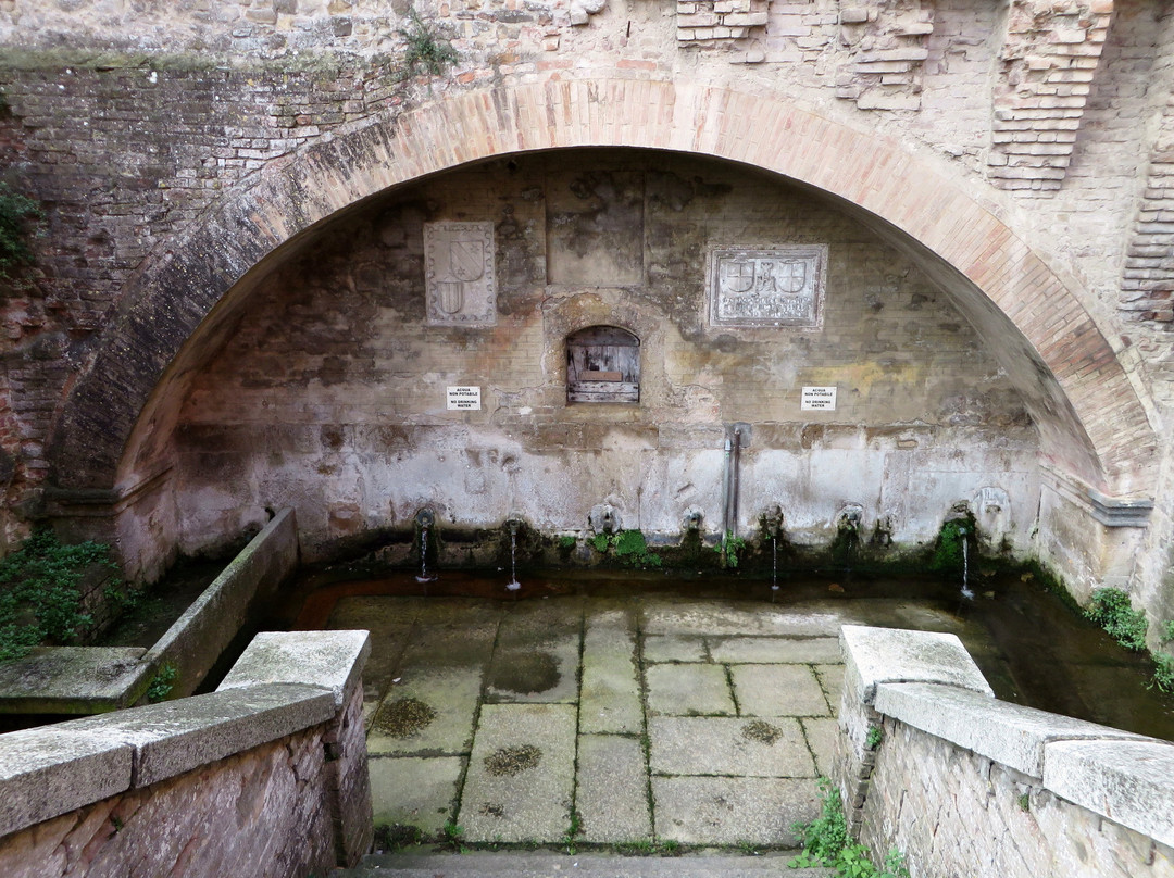 Castell'Arquato旅游攻略图片