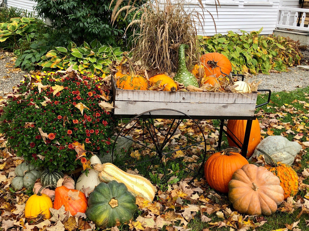 The Dorset Inn主图