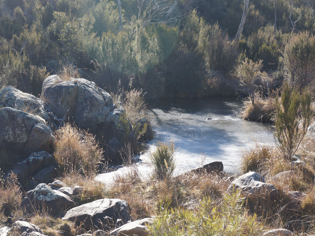 Mowamba River Lodge主图