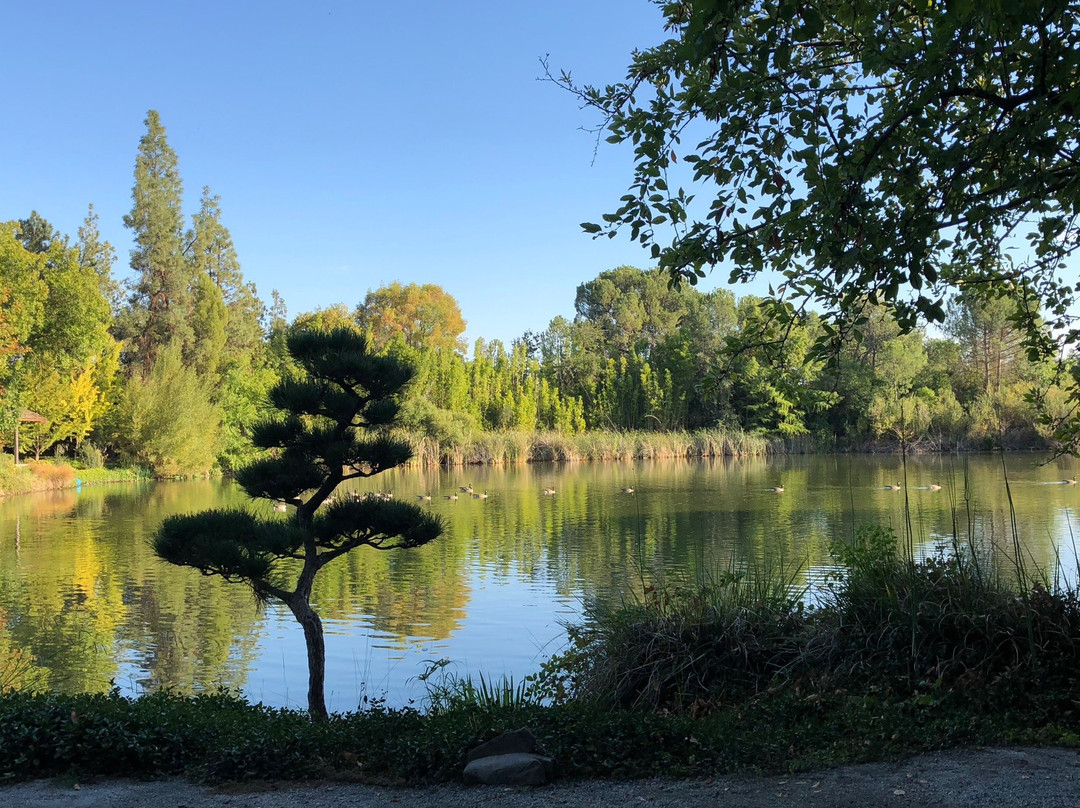 Shinzen Japanese Garden景点图片