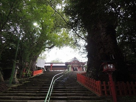 Nitta Shrine-萨摩川内市必去景点