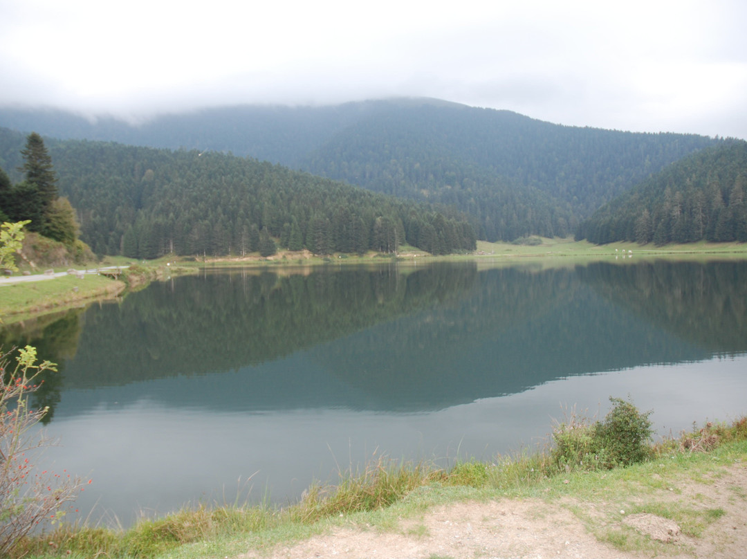 Lac de Payolle景点图片