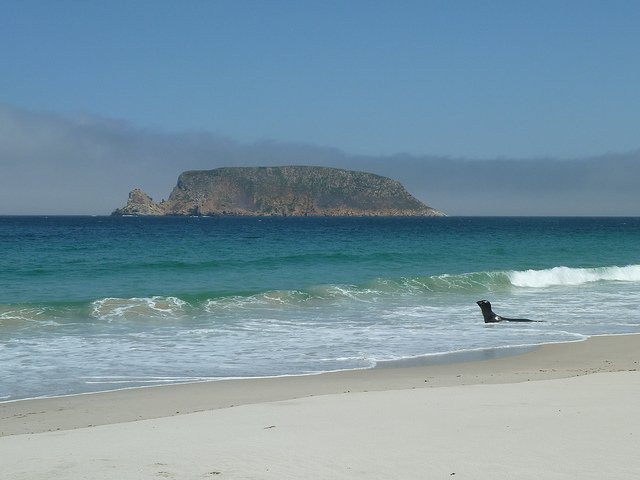 San Miguel Island景点图片