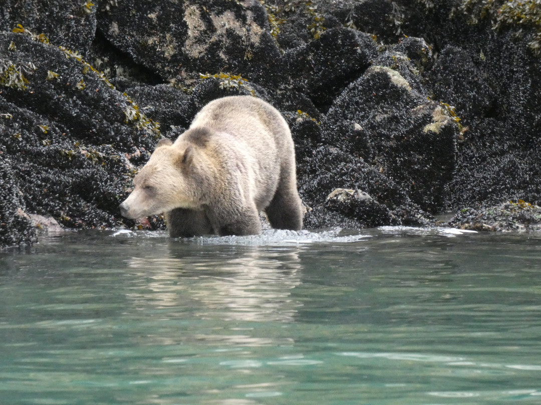 The Artists Point Bed, Breakfast and Phototours主图