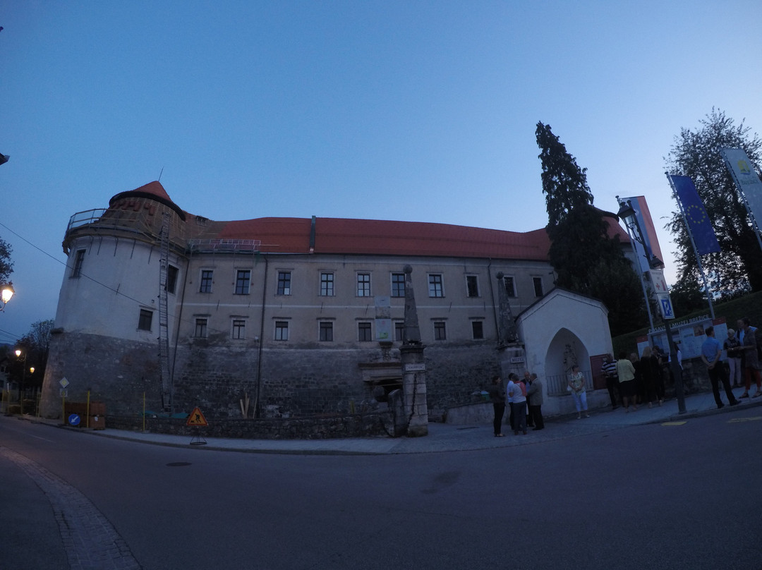 Catez ob Savi旅游景点-Grad Brežice