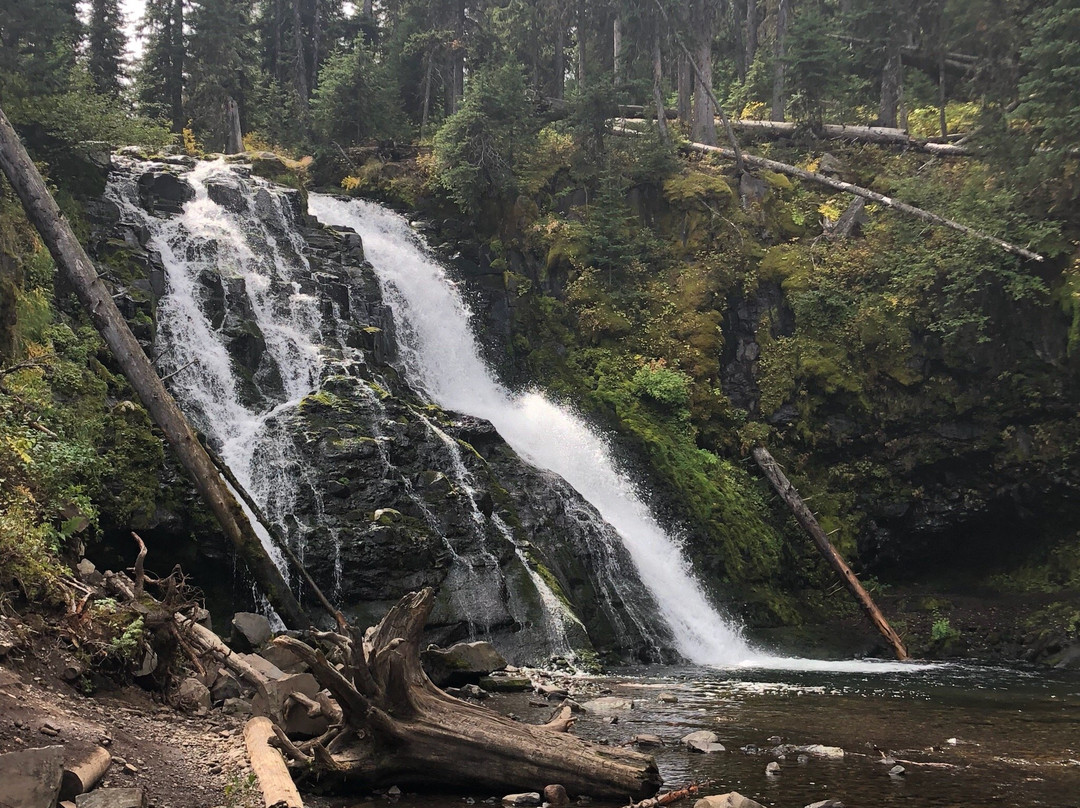 Grotto Falls Trail-博兹曼必去景点