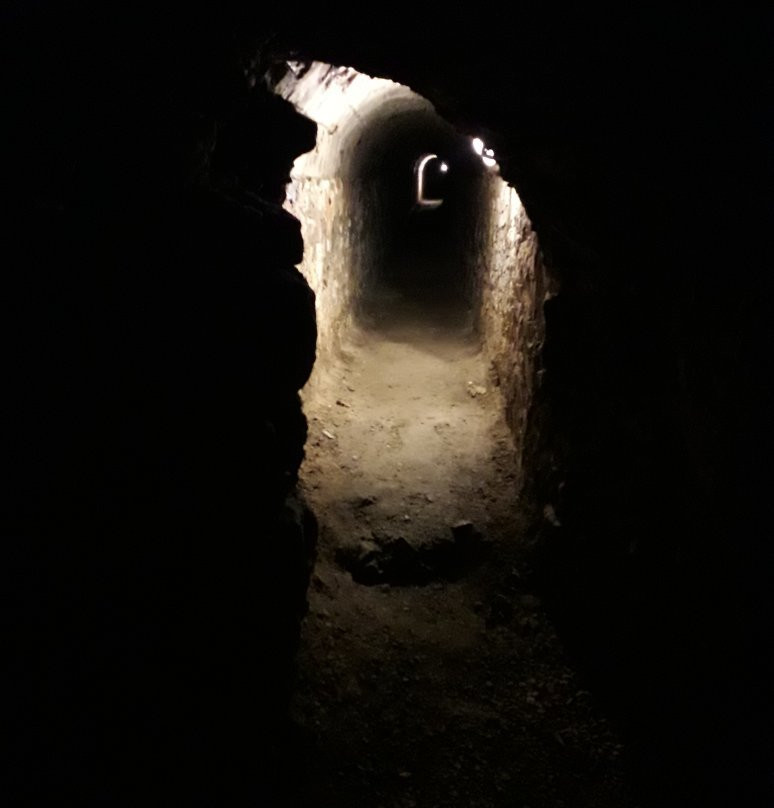 Musee de la Tour Prisonniere景点图片