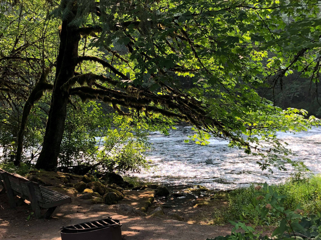 Patio RV Park