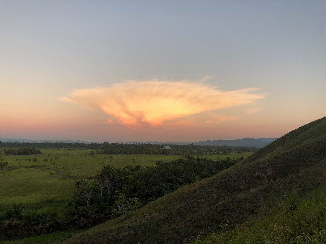 Bukit Teletubbies Kabupaten Jayapura-查亚普拉必去景点