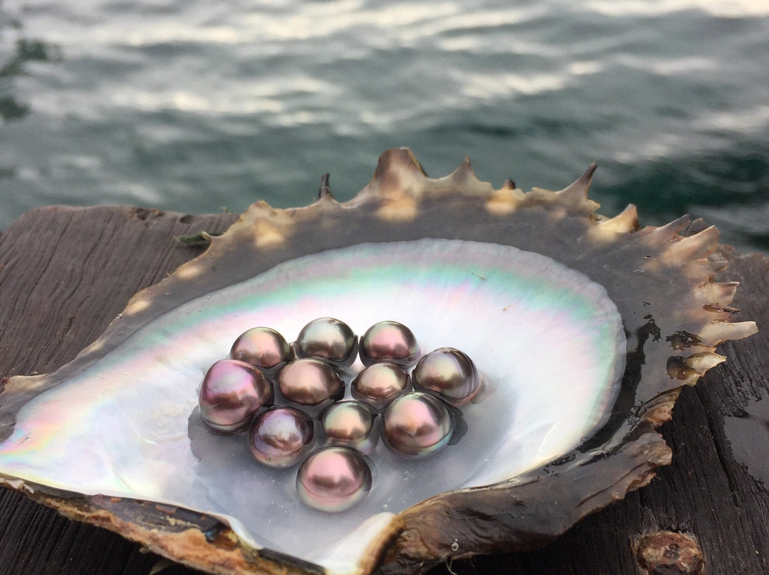 Latitude Jewellers-杰拉尔顿必去景点