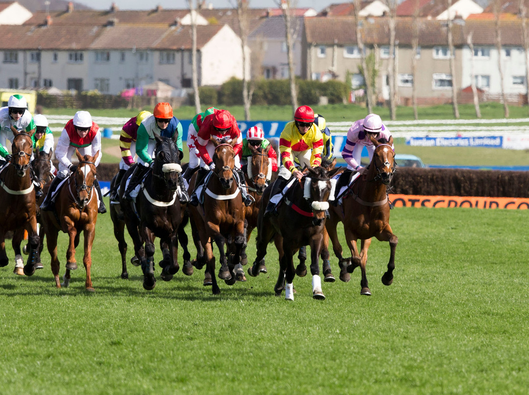 The Races at Ayr Racecourse景点图片