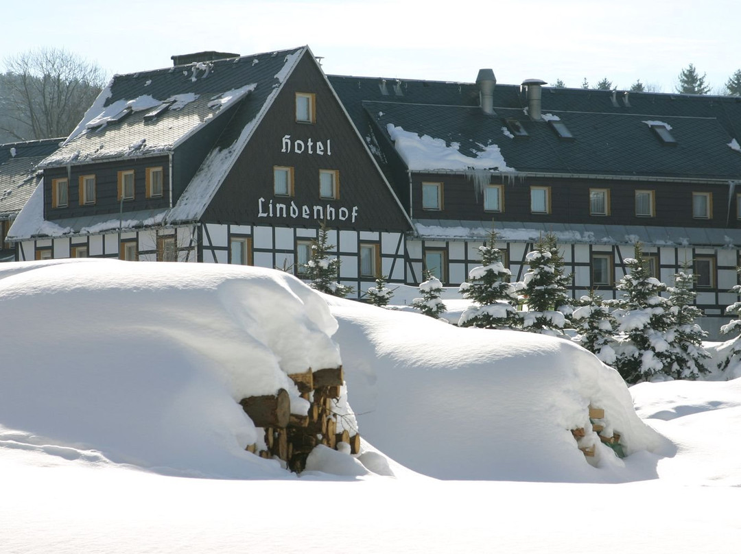 Naturhotel Lindenhof主图