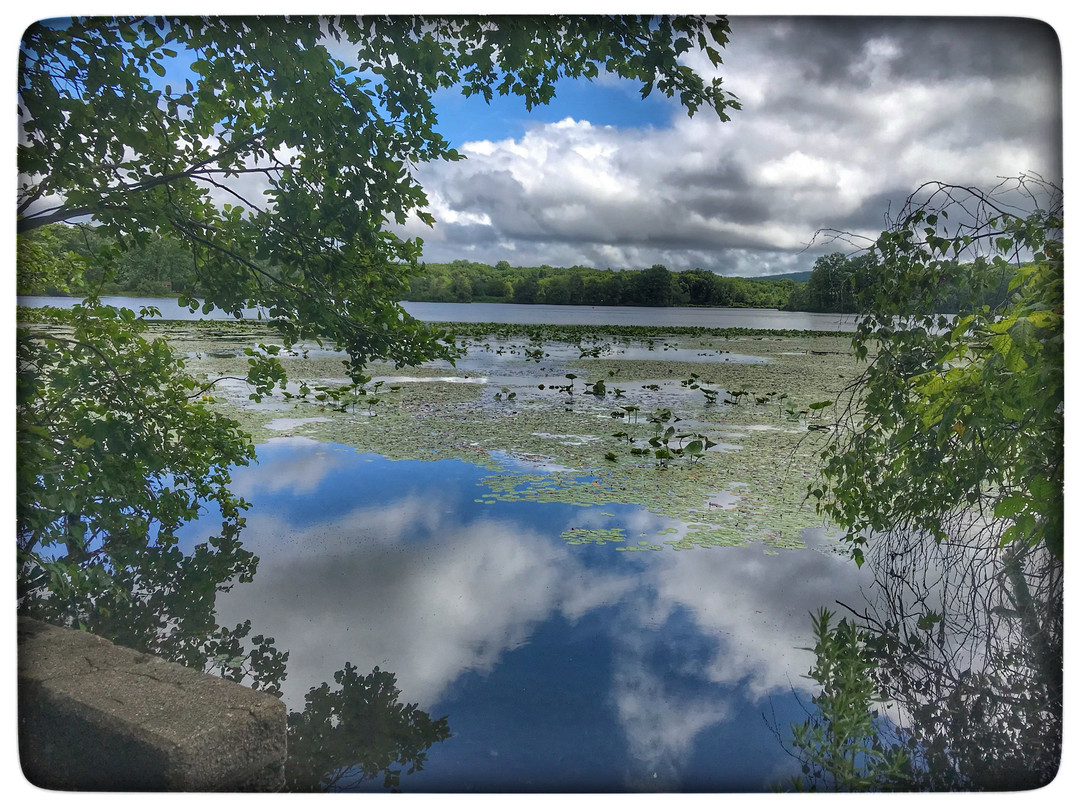 Allamuchy Mountain State Park景点图片