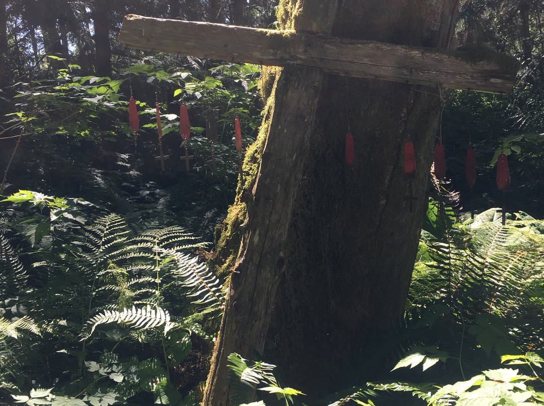 Wacky woods-Fanny Bay必去景点