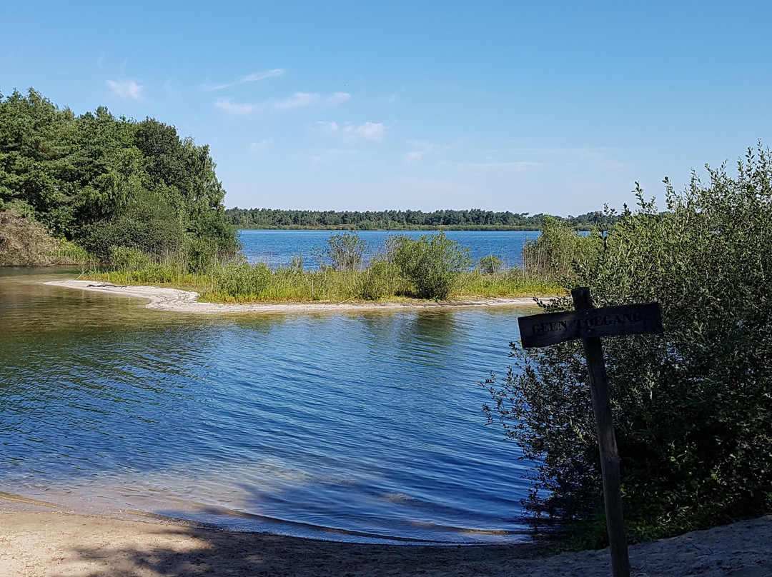 Nationaal Park De Maasduinen景点图片