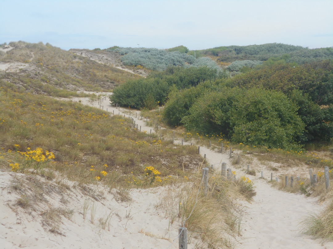 The Dunes of Bredene景点图片