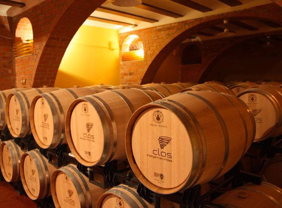 Baron d'Alba Bodegas y Vinedos景点图片