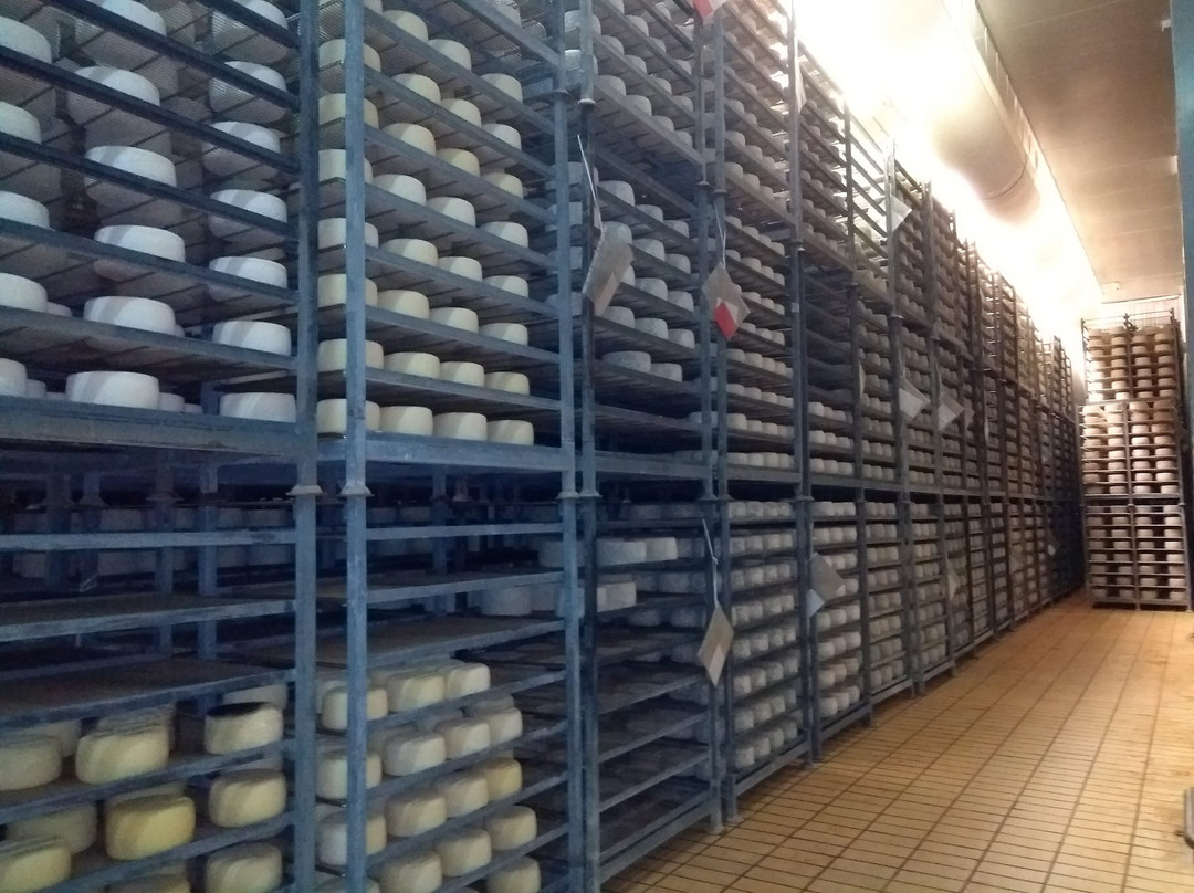 Genna Tours-卡利亚里省必去景点