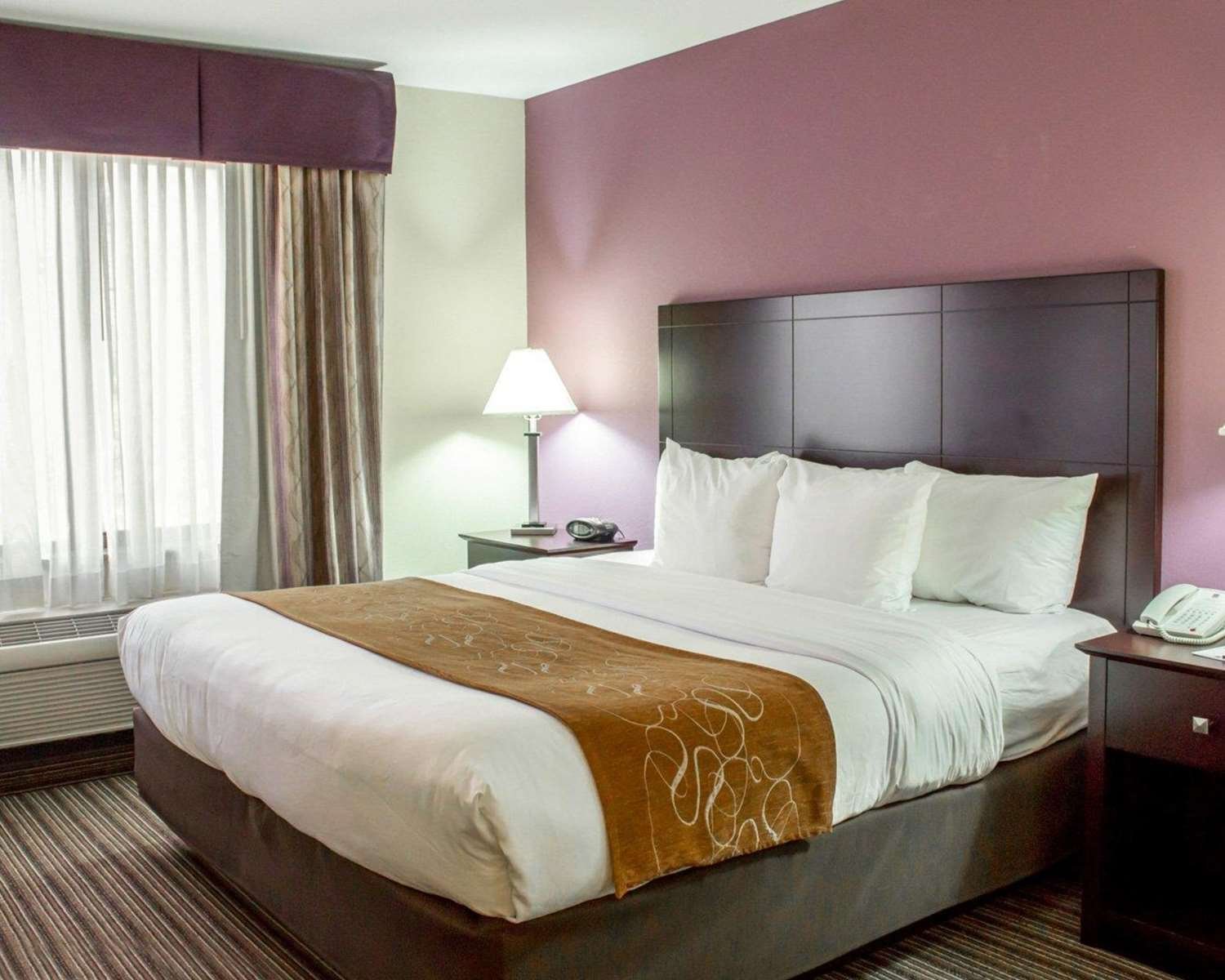 Comfort Suites-官方