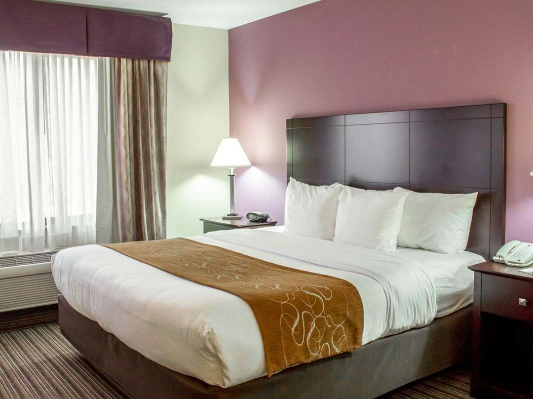 Comfort Suites主图