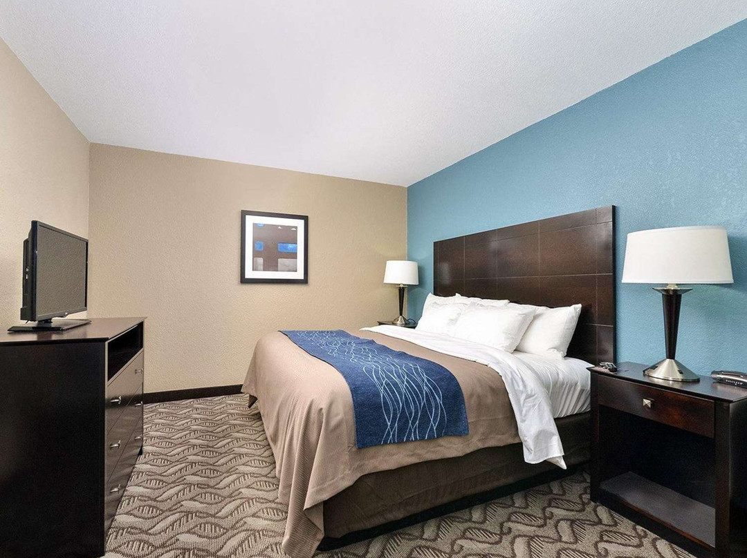 Comfort Inn & Suites Springfield I-55主图
