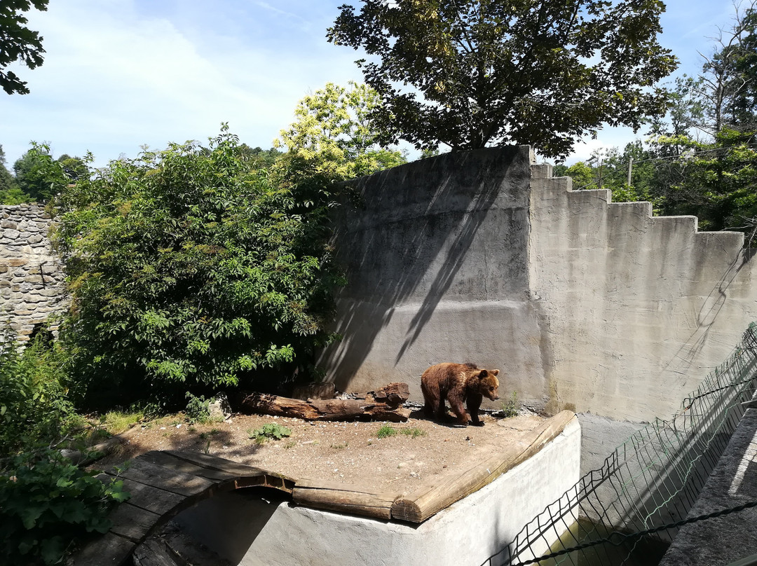 Parco Zoo di Poppi景点图片