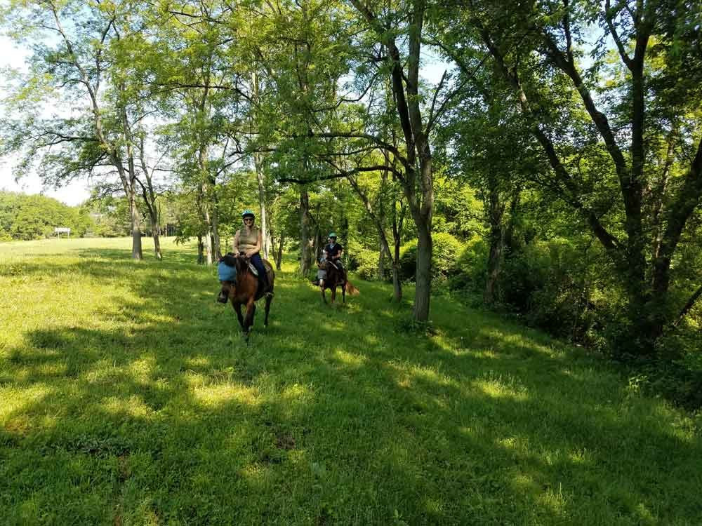 First Farm Inn Horseback Riding-Petersburg必去景点