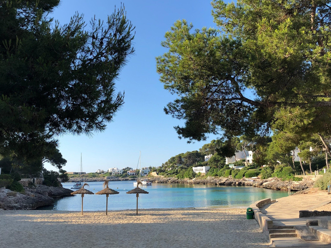 Plage Cala D'or景点图片